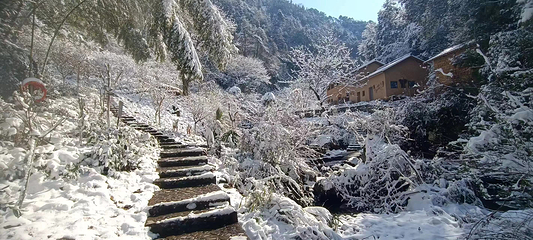 千岛湖红山谷景区第 28 张图片