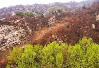 桃源仙谷自然风景区第 46 张图片