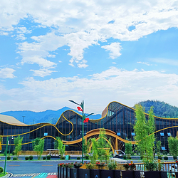 桃花江竹海景区