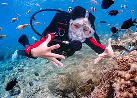 呆呆岛潜水中心