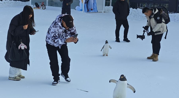 贺兰山冰雪大世界