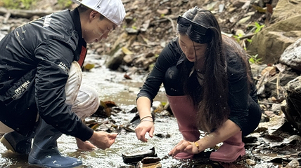基诺山雨林徒步第 4 张图片