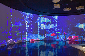 济州岛Aqua Planet水族馆第 8 张图片