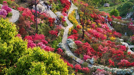 婺源篁岭景区第 305 张图片
