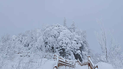 雪乡狗熊岭景区第 52 张图片