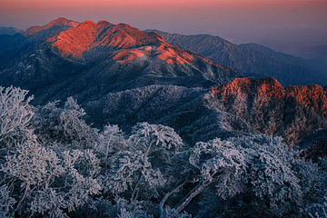 莽山旅游区国家森林公园第 56 张图片