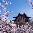 北京世园国际旅游度假区
