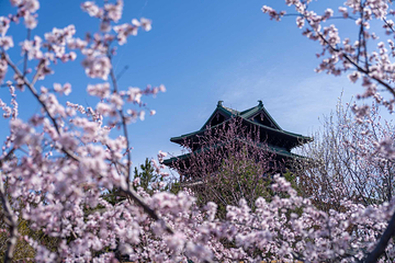 北京世园国际旅游度假区第 24 张图片