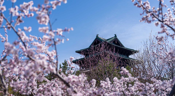 北京世园国际旅游度假区