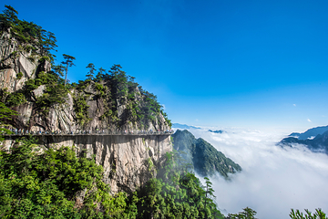 浙江大明山地质公园第 87 张图片