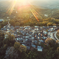 景迈山茶林文化景区