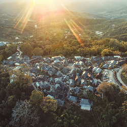 景迈山茶林文化景区
