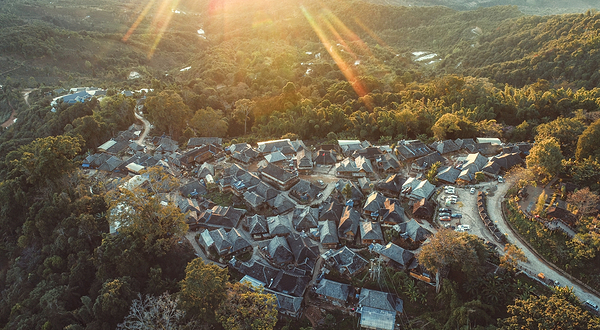 景迈山茶林文化景区