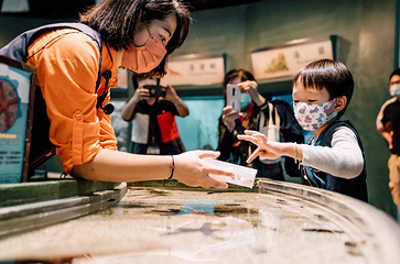台湾海洋生物博物馆第 18 张图片