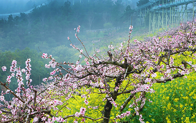 长兴城山沟景区第 63 张图片