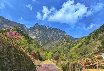 秦岭天竺山生态文化旅游景区第 31 张图片