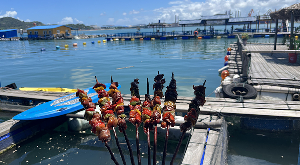 经途海上休闲鱼排