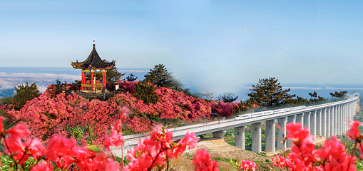 龟峰山景区第 20 张图片