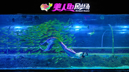 深圳观澜海洋世界第 52 张图片