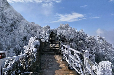 莽山旅游区国家森林公园第 38 张图片