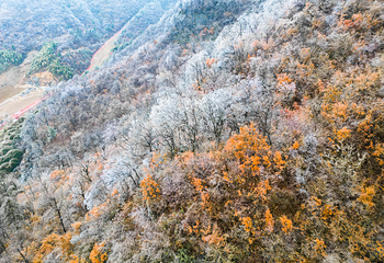 大别山滑雪旅游度假区第 16 张图片