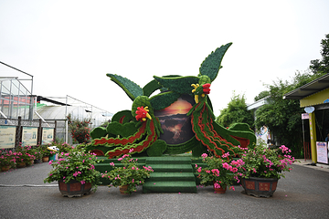 渔歌小镇花之港第 25 张图片