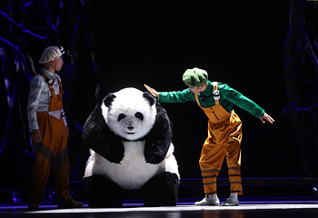 欢乐演艺秀《熊猫玩家》第 3 张图片