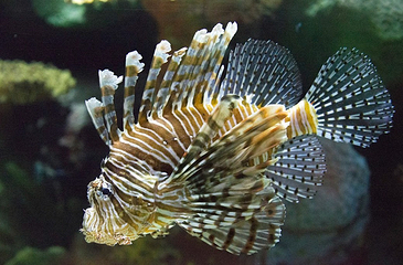 澎湖水族馆第 15 张图片