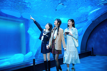 郑州海昌海洋公园第 44 张图片
