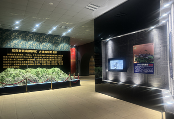 蛇文化展览馆第 19 张图片