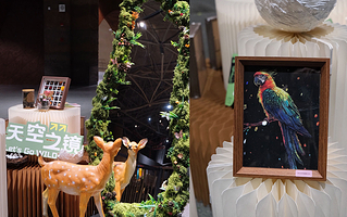 广富林考古遗址展示馆