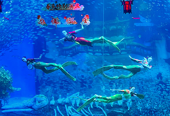 合肥海洋世界第 60 张图片
