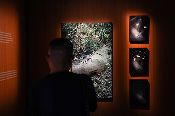 Fotografiska影像艺术中心第 24 张图片