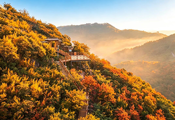 茅山森林世界第 50 张图片