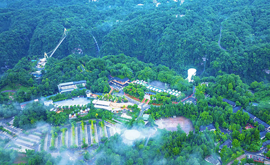 碧峰峡野生动物世界第 162 张图片