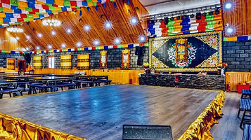 朵拉星辰走进藏家