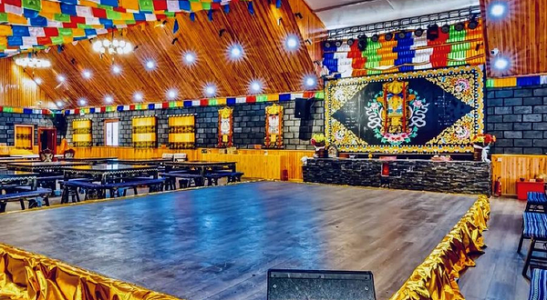 朵拉星辰走进藏家