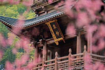 葛仙村度假区第 19 张图片