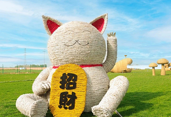 来康郡康乐景区第 7 张图片