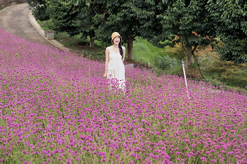 羊昌花画小镇第 39 张图片