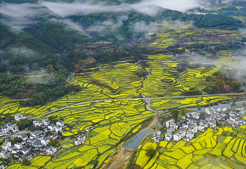 江岭景区第 35 张图片