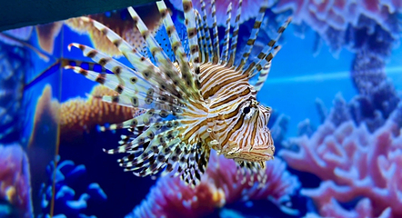 梦幻海洋企鹅馆第 8 张图片