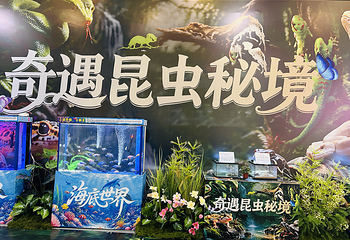 三只熊冰雪王国第 13 张图片