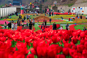 河南宝泉旅游区-宝泉大峡谷第 52 张图片