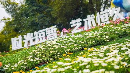 巴滨花艺园第 11 张图片