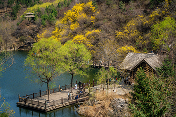 九如山休闲旅游度假区第 201 张图片