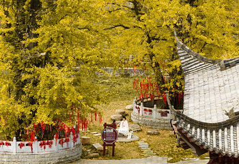 宜春明月山旅游区第 6 张图片
