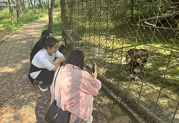 老爷山第 27 张图片