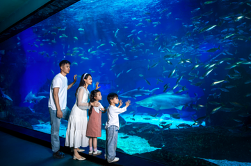 海合安成都极地海洋公园第 138 张图片