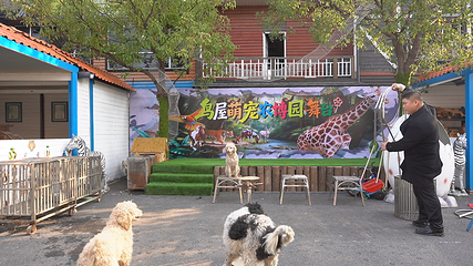 鸟屋乐园第 22 张图片